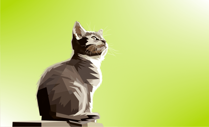 gato origami